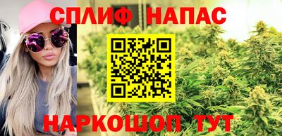 дмт Можга
