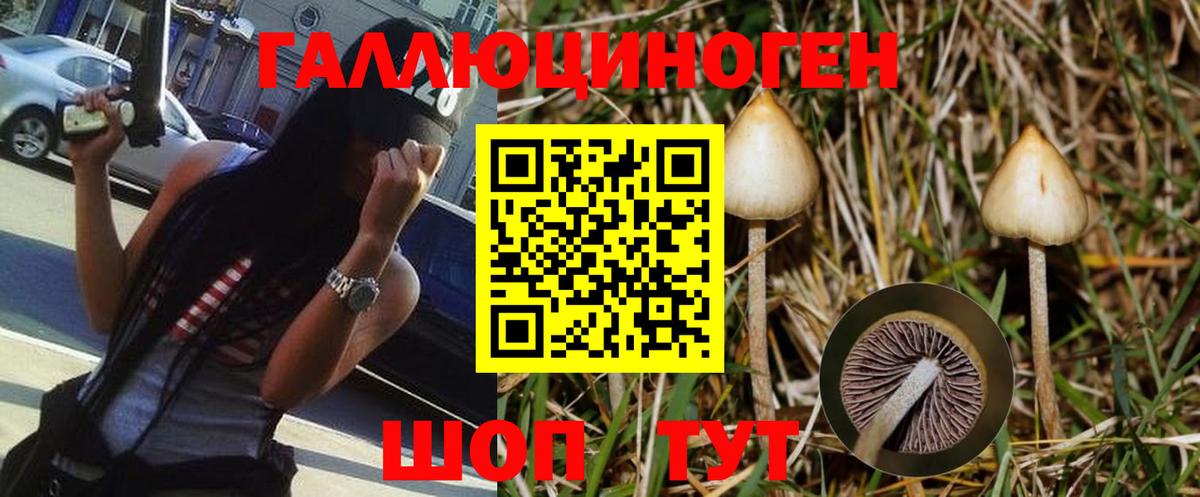 Псилоцибиновые грибы GOLDEN TEACHER Алапаевск