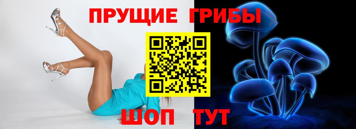 Псилоцибиновые грибы ЛСД  Вход с VPN  Алапаевск  Псилоцибиновые грибы GOLDEN TEACHER 